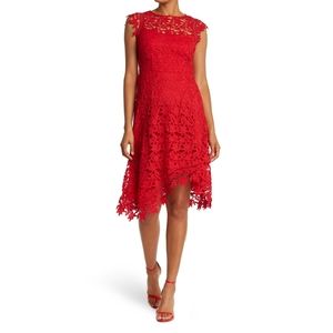 Lace Asymmetric Cocktail Dress